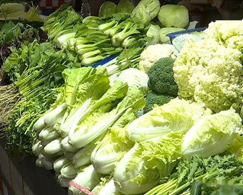 大沥4月食用农产品快检结果公布 零售环节质量总体稳定