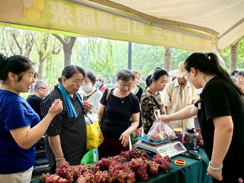 济南市食用林产品质量安全普法宣传暨园林市集林果产品展销活动在花圃公园成功举办