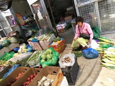 融宁乡音小分队暑期实践 探访农产品批发中心，探索旅顺口区零售新篇