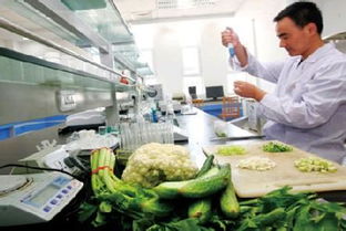 食品安全新保障 首个食用农产品快检室落户大东，免费开放惠及市民